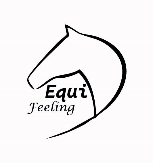 Equi Feeling